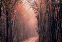 足球青训从“做梦”开始.