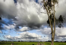 黑白体育官网：4强出炉！中国斯诺克全军覆没，肖国栋5-2被逆转.