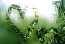 东体：决定中超、中国足球在亚洲足坛地位的只有且只能是实力.